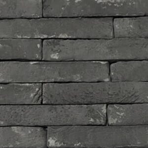 Black Slip Thumbnail